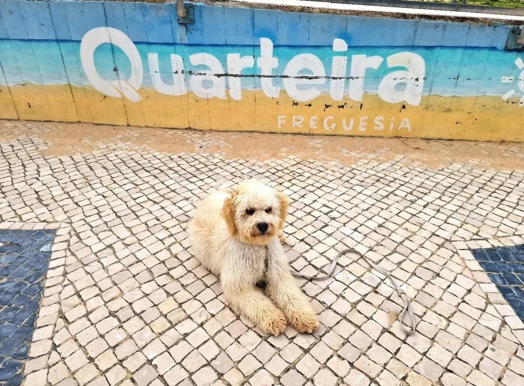 Studio Praia De Quarteira Exteriör bild